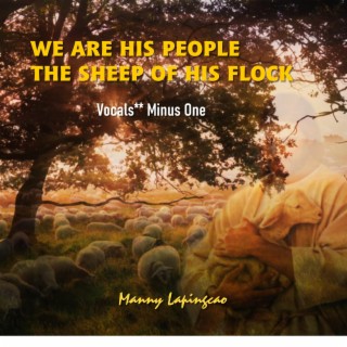 We Are His People The Sheep Of His Flock