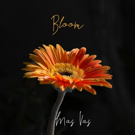 Bloom | Boomplay Music