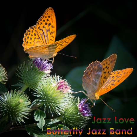 Background Music for Watching Butterflies Fly | Boomplay Music