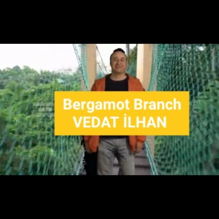 Bergamot Branch