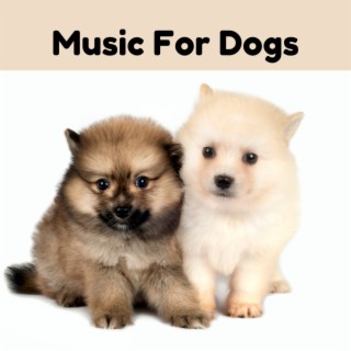 Music For Dogs