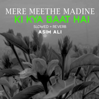 Mere Meethe Madine Ki Kya Baat Hai Lofi