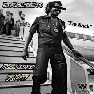 James Brown Flow ft. DeyCallMeDog lyrics | Boomplay Music