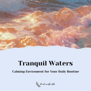 Tranquil Waters: Calming Enviroment for Your Daily Routine