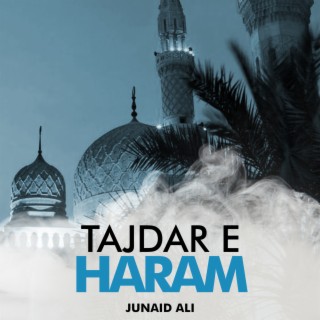 Tajdar e Haram