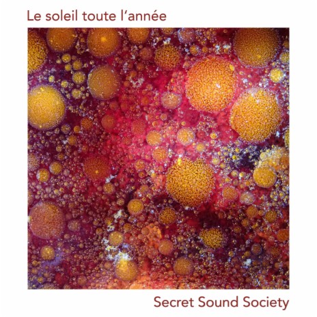 Le soleil toute l'année ft. Lin D Vine & Secret Sound Society | Boomplay Music