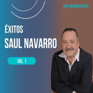 Éxitos De Saul Navarro