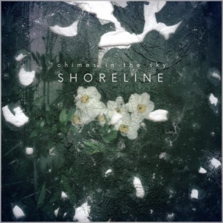 Shoreline