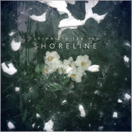 Shoreline | Boomplay Music