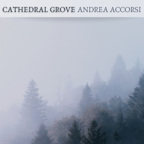 Cathedral Grove | Boomplay Music