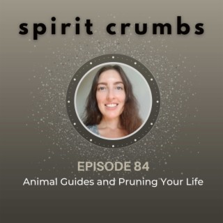84: Animal Guides & Pruning Your Life