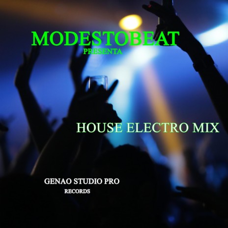 Electro House Mix