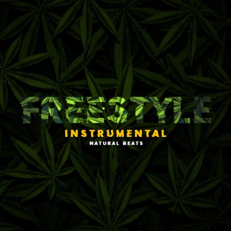 Freestyle 26 (Instrumental)