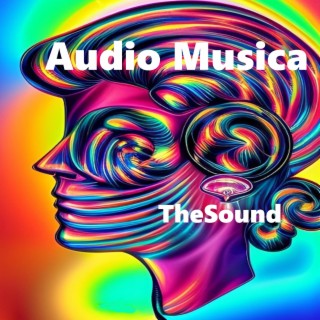 Audio Musica