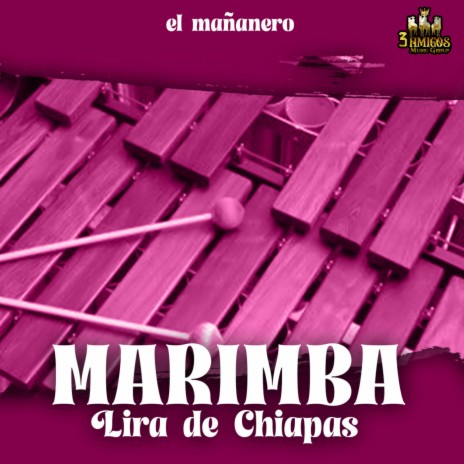 Himno Nacional De Honduras ft. Marimba Lira De Chiapas | Boomplay Music