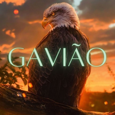 Gavião | Boomplay Music