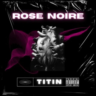 Rose noire