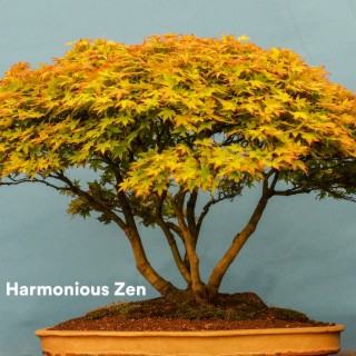 Harmonious Zen