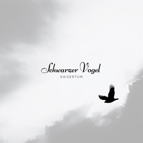 Schwarzer Vogel | Boomplay Music