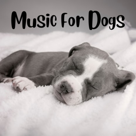 Chill Music For Dogs ft. Music For Dogs Peace, Relaxing Puppy Music & Calm Pets Music Academy | Boomplay Music