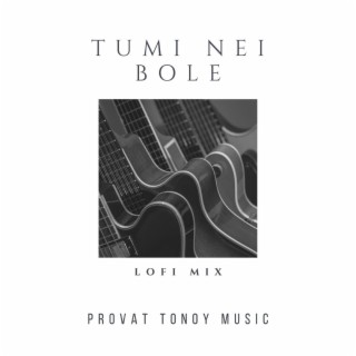 Tumi Nei Bole (Lofi Mix)