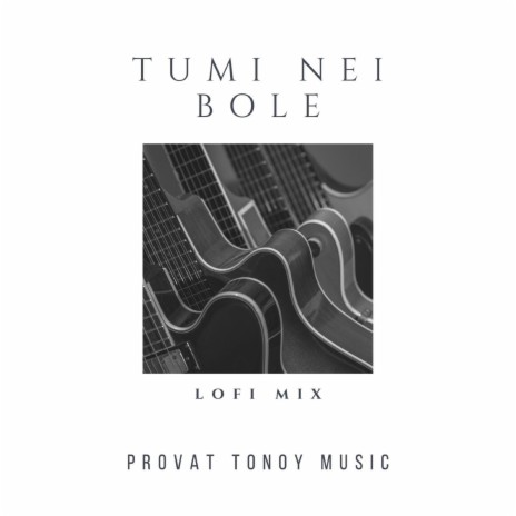 Tumi Nei Bole (Lofi Mix) | Boomplay Music