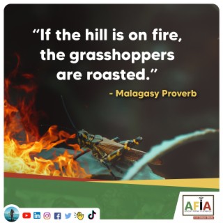 When the Hill is on Fire, the Grasshoppers are Roasted | African Proverbs