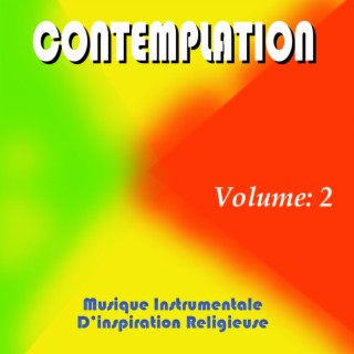 Contemplation, Vol. 2 (Instrumental)