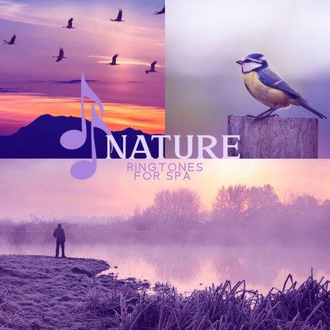 Flute, Harp with Singing Birds | Boomplay Music