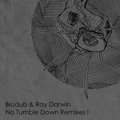 No Tumble Down (feat. Ray Darwin) (Despite Remix) | Boomplay Music