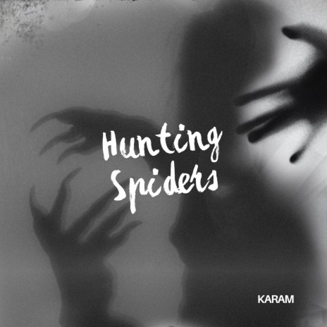 Hunting Spiders | Boomplay Music