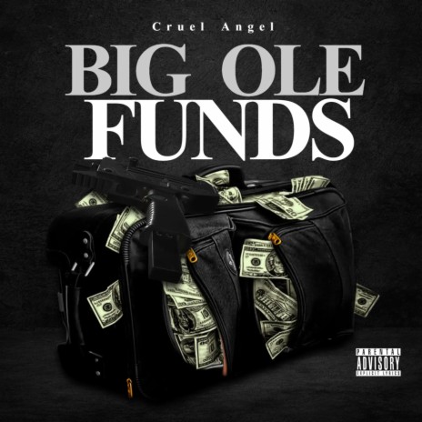 Big Ole Funds | Boomplay Music