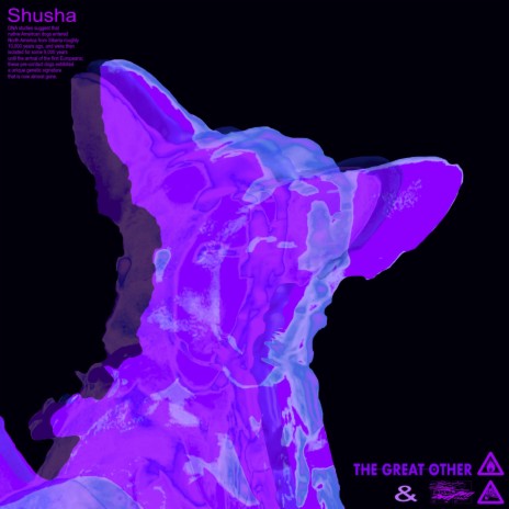 Shusha ft. The Great Other | Boomplay Music