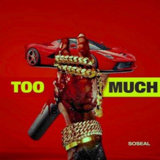 Too much lyrics | Boomplay Music