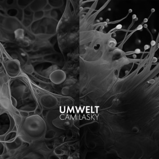 UMWELT Vol.2