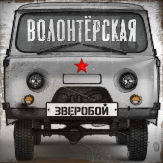 Волонтёрская