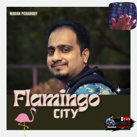 Flamingo City | Boomplay Music