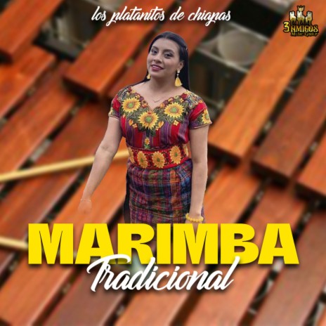 Cumbia De Los Pajaritos ft. Marimba Tradicional | Boomplay Music