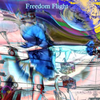 FREEDOM FLIGHT | Boomplay Music