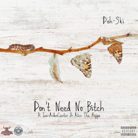 Don't Need No Bitch ft. IamAidenCarter & Alex Tha Rippa | Boomplay Music