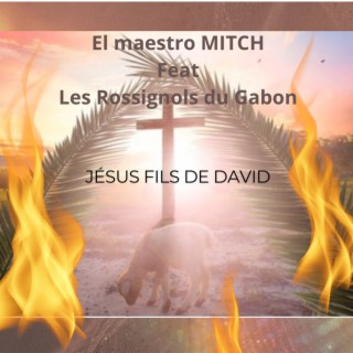 Jésus fils de David