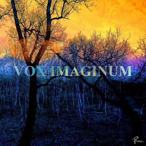 Vox Imaginum - op. 0513a