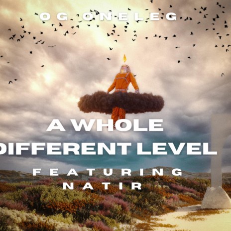 A Whole Different Level ft. Natir | Boomplay Music