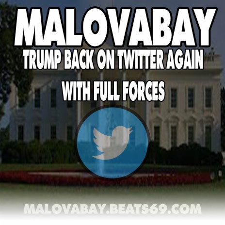 Trump Back On Twitter Again With Full Forces | Boomplay Music