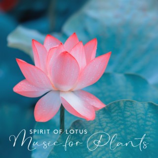 Spirit of Lotus: Music for Plants, Maximize Your Plants Potential and Overall Health