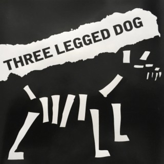 Three-Legged-Dog