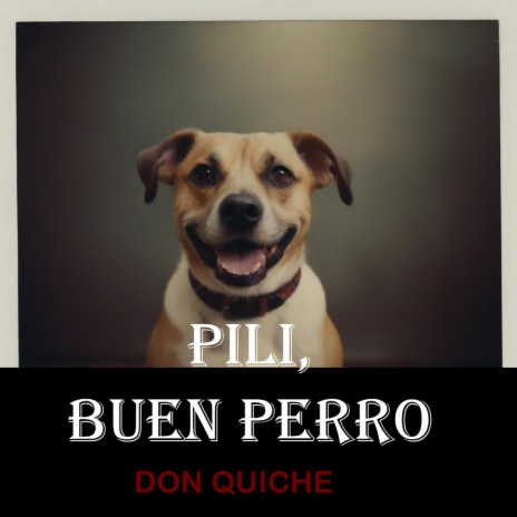 Pili, ¡buen perro! | Boomplay Music