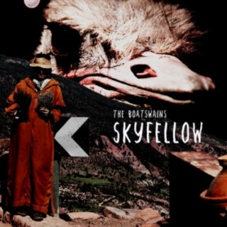 Skyfellow