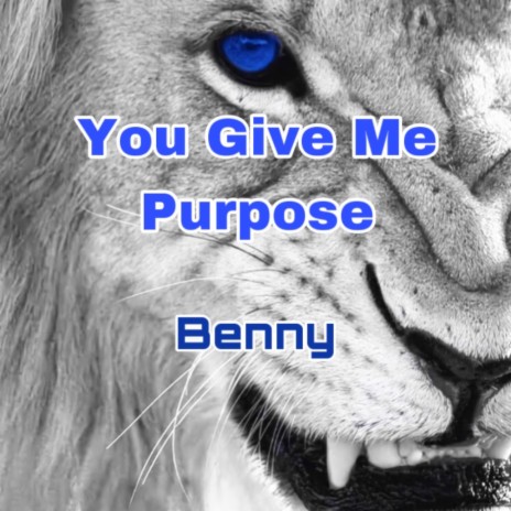 You Give Me Purpose | Boomplay Music