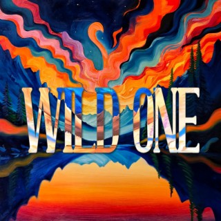 Wild One lyrics | Boomplay Music